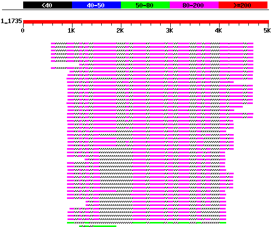 finding exons using blast