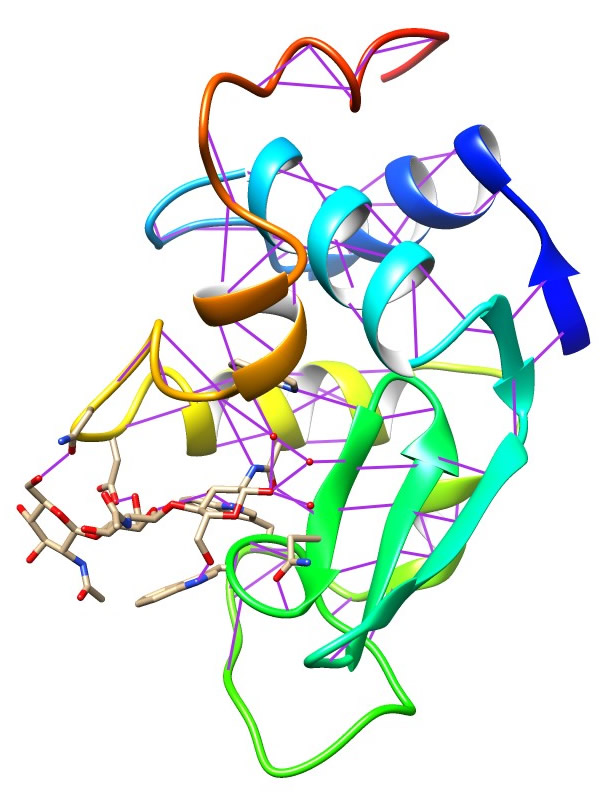 sec structures with H Bonds