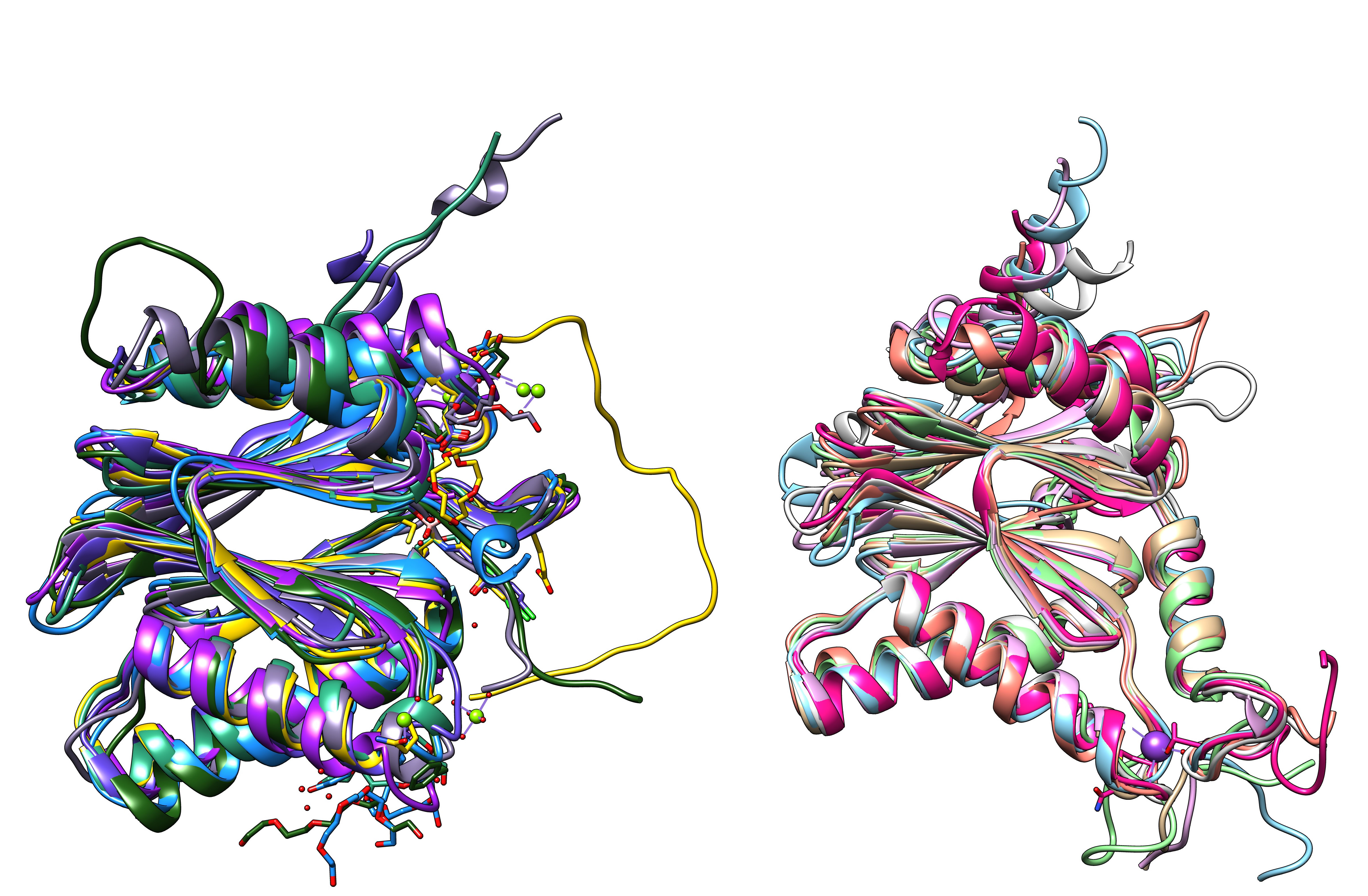 proteasomeSU