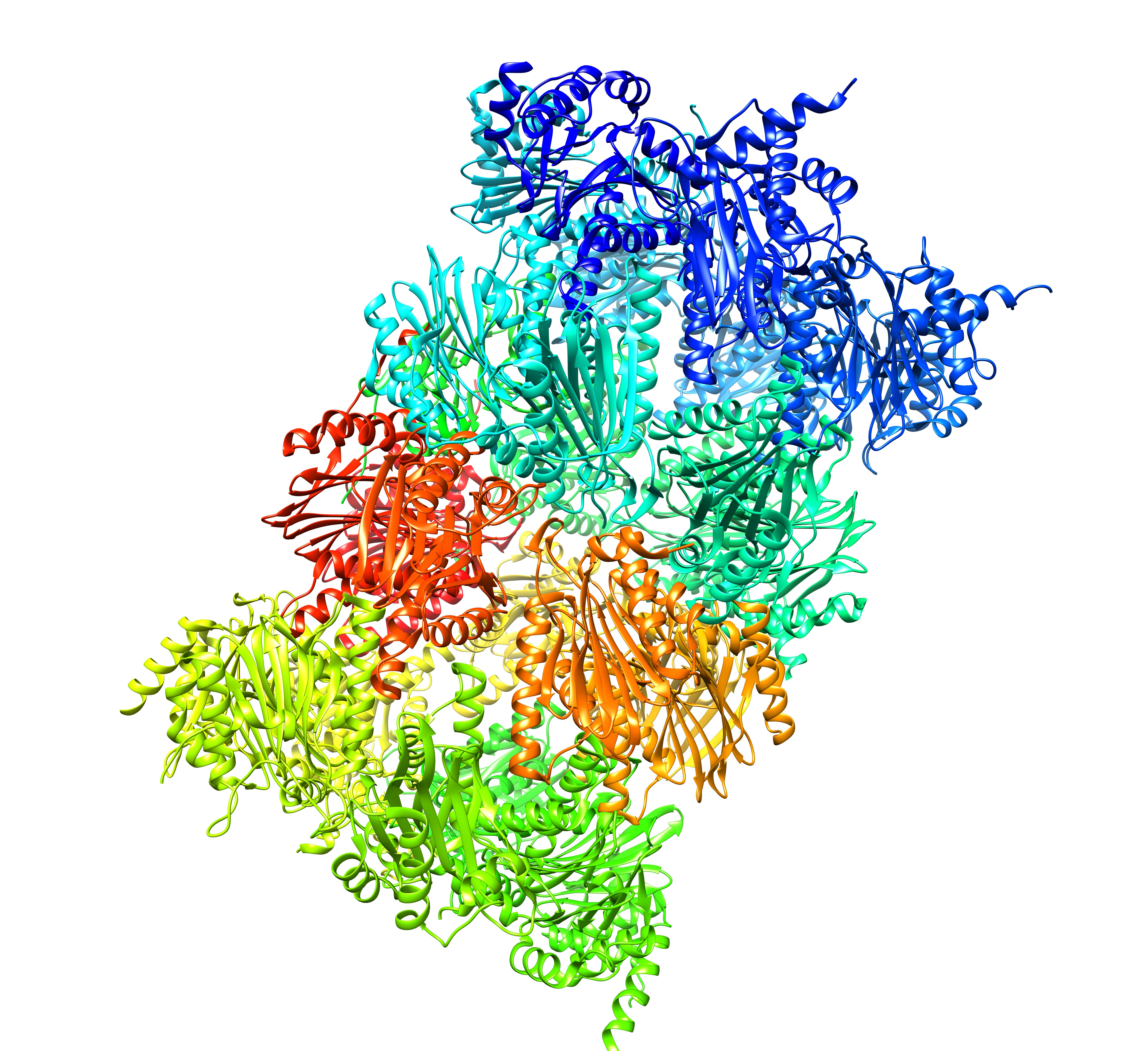 human proteasome