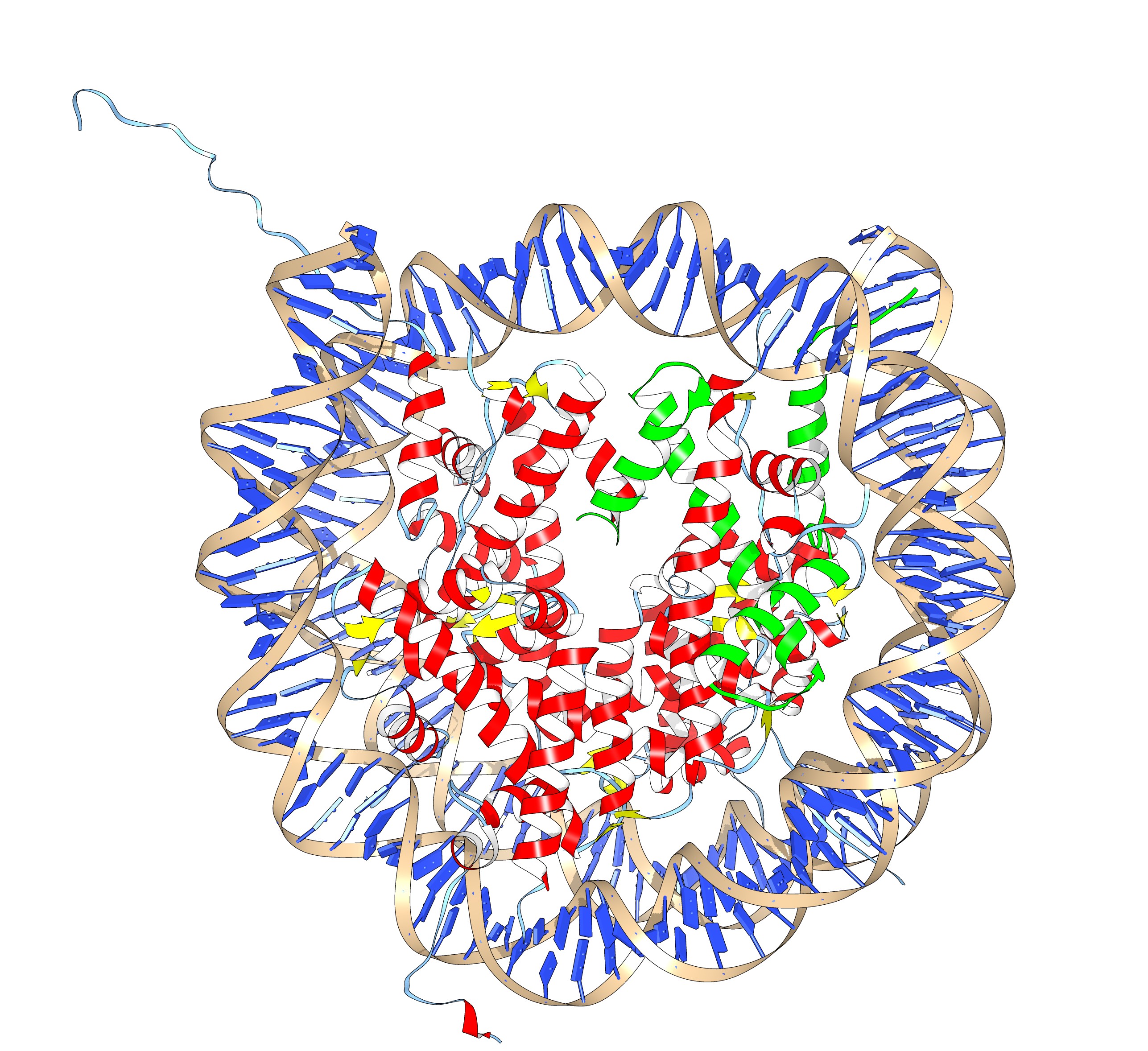 nucleosome